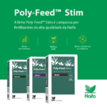 POLY-FEED